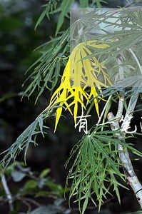 有一笔逾期记录如何贷款吗 有一笔逾期记录如何贷款吗