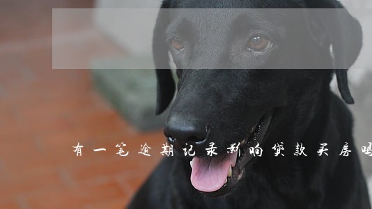 有一笔逾期记录影响贷款买房吗 有一笔逾期记录影响贷款买房吗