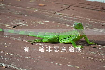 有一笔非恶意逾期 有一笔非恶意逾期