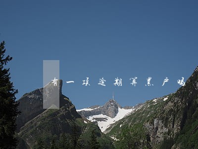 有一项逾期算黑户吗 有一项逾期算黑户吗