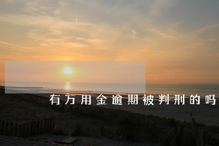 有万用金逾期被判刑的吗 有万用金逾期被判刑的吗