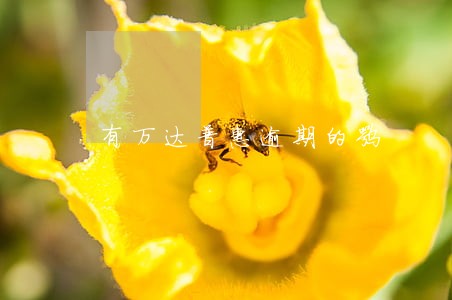 有万达普惠逾期的嘛 有万达普惠逾期的嘛