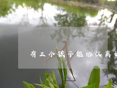 有三个孩子能协议离婚吗 有三个孩子能协议离婚吗