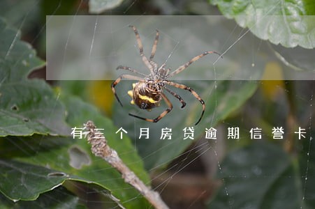 有三个月房贷逾期信誉卡还能用吗 有三个月房贷逾期信誉卡还能用吗