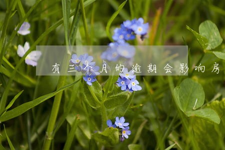 有三个月的逾期会影响房贷吗 有三个月的逾期会影响房贷吗