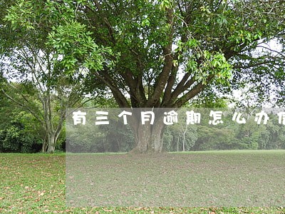 有三个月逾期怎么办信用卡 有三个月逾期怎么办信用卡