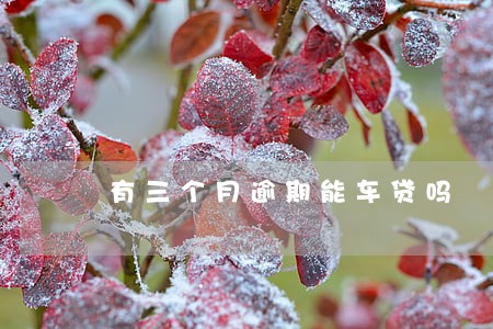 有三个月逾期能车贷吗 有三个月逾期能车贷吗