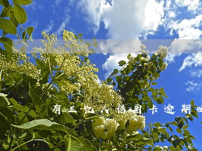 有三亿人信用卡逾期吗 有三亿人信用卡逾期吗
