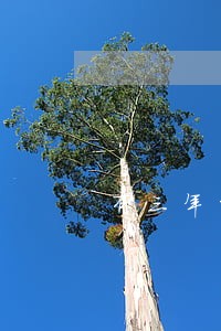 有三年的逾期记录怎么办 有三年的逾期记录怎么办
