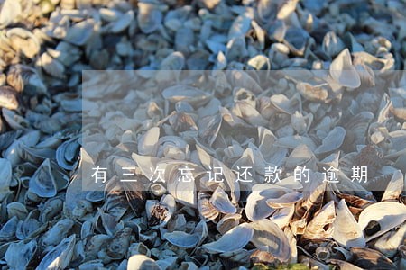 有三次忘记还款的逾期 有三次忘记还款的逾期