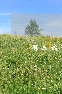 有三次逾期了怎么办