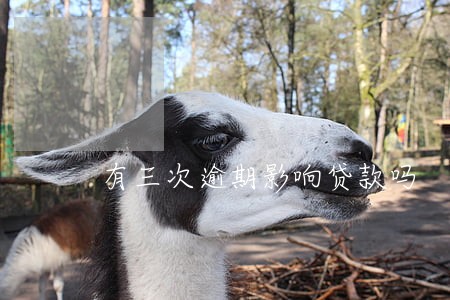 有三次逾期影响贷款吗 有三次逾期影响贷款吗