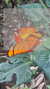 有三次逾期记录影响工作吗 有三次逾期记录影响工作吗