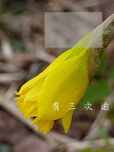 有三次逾期记录还能房贷吗 有三次逾期记录还能房贷吗