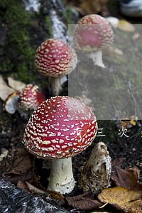 有三次逾期还可以申请信用卡吗 有三次逾期还可以申请信用卡吗