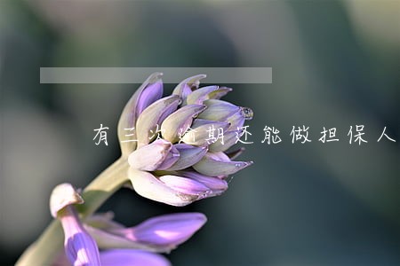 有三次逾期还能做担保人吗 有三次逾期还能做担保人吗