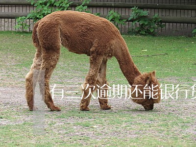 有三次逾期还能银行贷款吗 有三次逾期还能银行贷款吗