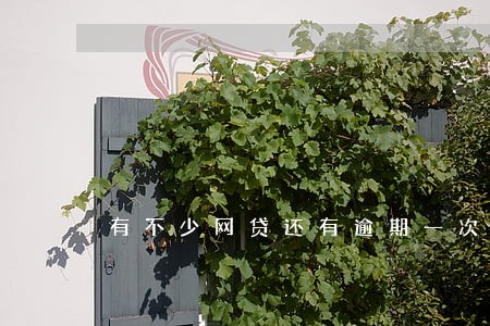 有不少网贷还有逾期一次