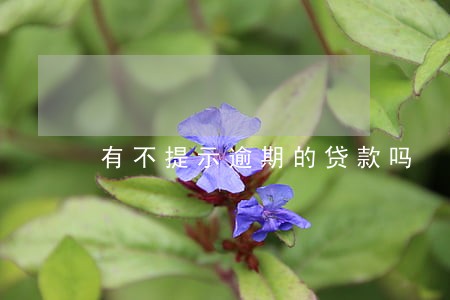 有不提示逾期的贷款吗 有不提示逾期的贷款吗