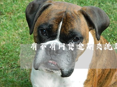 有不有网贷逾期交流群