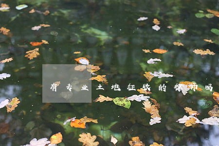 有专业土地征收的律师吗 有专业土地征收的律师吗