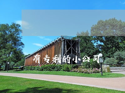 有专利的小公司