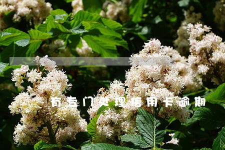 有专门处理信用卡逾期 有专门处理信用卡逾期