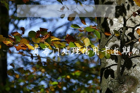 有专门处理信用卡逾期的机构吗 有专门处理信用卡逾期的机构吗