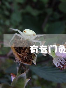有专门负责逾期车辆收车的公司吗 有专门负责逾期车辆收车的公司吗