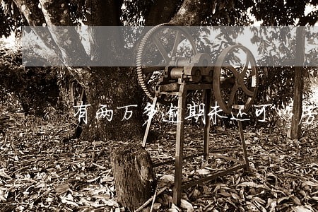 有两万多逾期未还可以房贷吗 有两万多逾期未还可以房贷吗