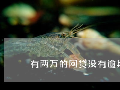 有两万的网贷没有逾期影响房贷吗