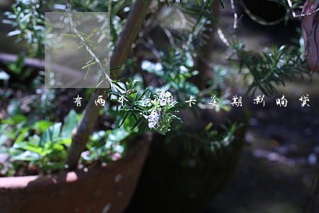 有两个信用卡逾期影响贷款吗 有两个信用卡逾期影响贷款吗