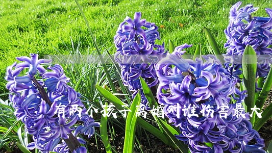 有两个孩子离婚对谁伤害最大 有两个孩子离婚对谁伤害最大