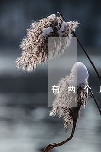 有两个房贷逾期影响大吗 有两个房贷逾期影响大吗
