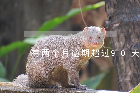 有两个月逾期超过90天 有两个月逾期超过90天