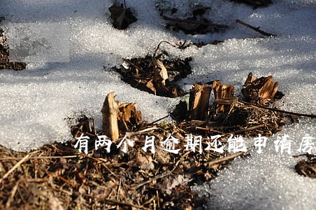 有两个月逾期还能申请房贷吗 有两个月逾期还能申请房贷吗
