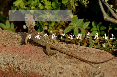 有两个账户逾期三月以上怎么办 有两个账户逾期三月以上怎么办