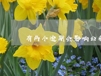 有两个逾期会影响公积金贷款吗 有两个逾期会影响公积金贷款吗