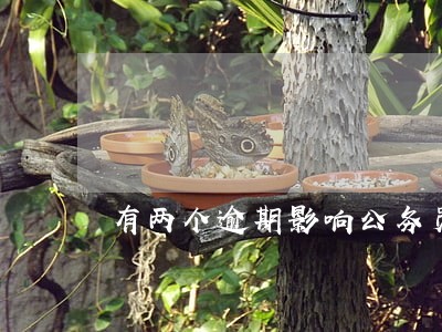 有两个逾期影响公务员 有两个逾期影响公务员