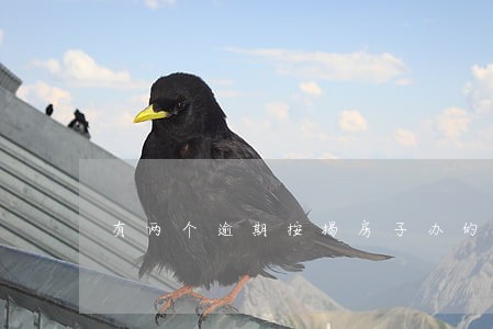 有两个逾期按揭房子办的下来吗 有两个逾期按揭房子办的下来吗