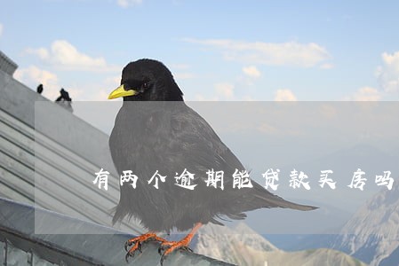 有两个逾期能贷款买房吗 有两个逾期能贷款买房吗