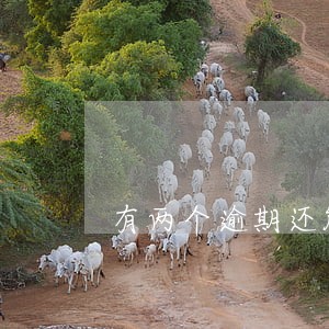 有两个逾期还能公积金贷款吗 有两个逾期还能公积金贷款吗