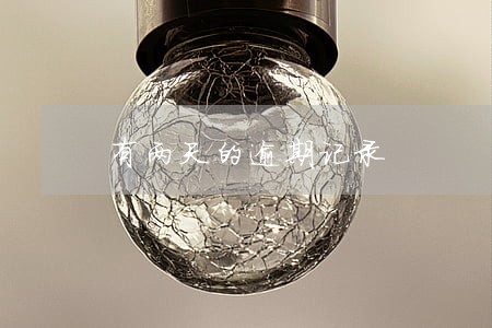 有两天的逾期记录 有两天的逾期记录