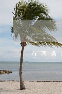 有两条逾期可以分期买车吗 有两条逾期可以分期买车吗