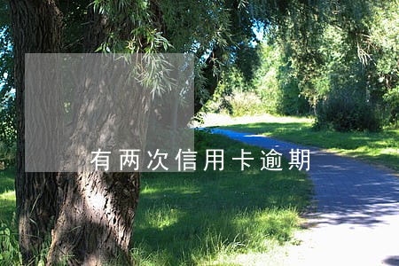 有两次信用卡逾期 有两次信用卡逾期