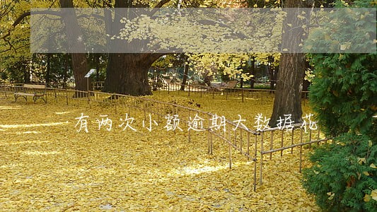 有两次小额逾期大数据花