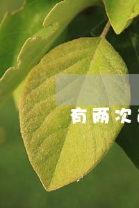 有两次逾期且是一天算信用不良吗 有两次逾期且是一天算信用不良吗