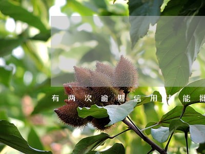 有两次逾期信用卡能批吗 有两次逾期信用卡能批吗