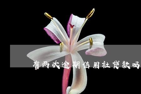 有两次逾期信用社贷款吗 有两次逾期信用社贷款吗