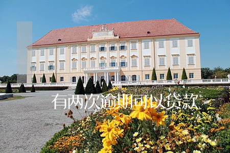 有两次逾期可以贷款 有两次逾期可以贷款